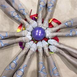 Alegria rhythmic gymnastics