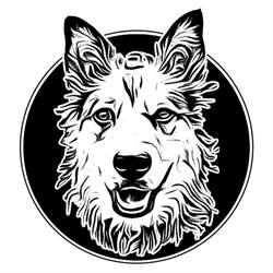 Meadow Valley Dog Training