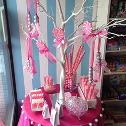Ice Cream Shop