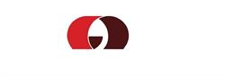 Amecci Inc