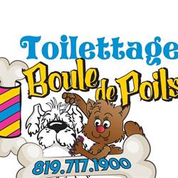 Toilettage Boule de Poils
