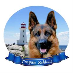 Troyan Schloss German Shepherds