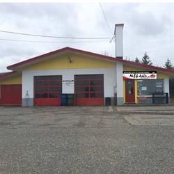 MIG auto inc
