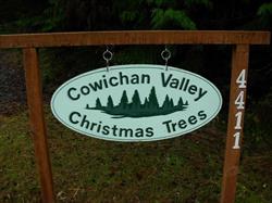 Cowichan Valley Christmas Trees