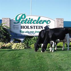 Ferme Petitclerc Holstein