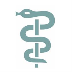 The New Brunswick Medical Education Foundation