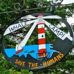 The Whale Camp