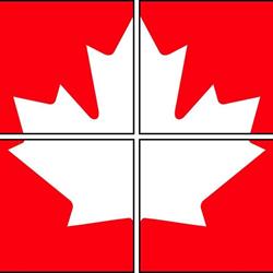 Canadian Tile Pro - Complete Bathroom & Kitchen Renovations