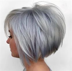 The Hair Lounge And Colour House