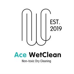 Ace WetClean