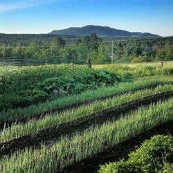 Ferme Au Versant Doré