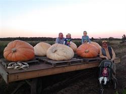 Mr. D's Produce
