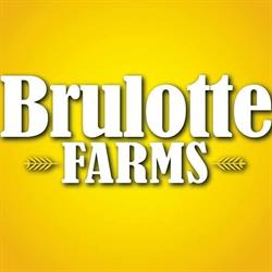 Brulotte Sweet Corn Farms