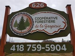 Coopérative forestière de la Gaspésie