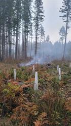 Sitka Silviculture LTD.