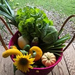 Les petits fruits de la Rouge