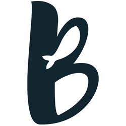 Big Catch Communications