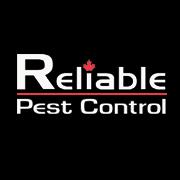Reliable Pest Control Alliston