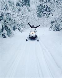 White N Wild Snowmobile Tours