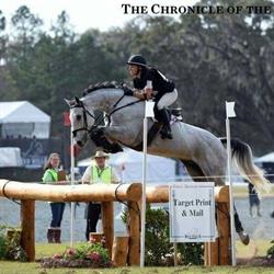 Quill Point Equestrian