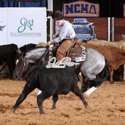 TR Performance Horses Ltd.