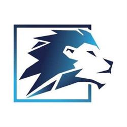 Lion Signs and Print Inc.