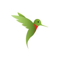 Colibri Assurance Voyage
