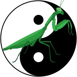 Ting Shen Kung Fu