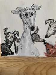 Hound Haven
