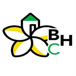 Blossom Hills Construction