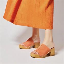 Below the Ankle