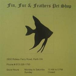 Fin, Fur & Feathers