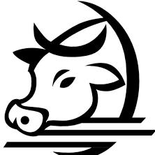 Codys Cows