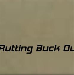 Rutting Buck Outfitters