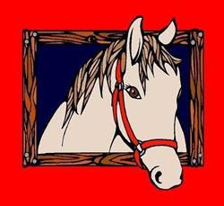 Therapeutic Horse Riding In Lindsay T.H.R.I.L