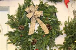 RBM Gardens Christmas Trees