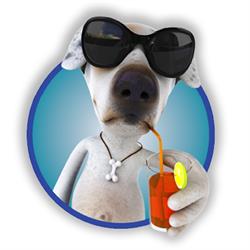 Chenil Lac Brome Kennel