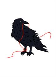 Blackbird Knitting & Needlework