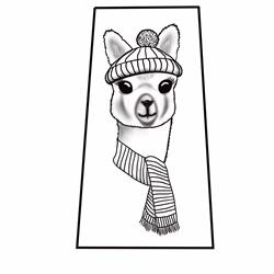 SASKAPACA X Alpacaweave