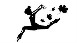 Four Season Dance Academy