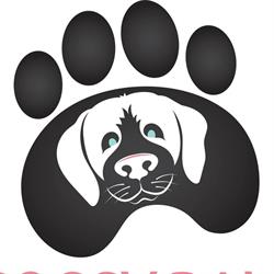 Soggy Paws Pet Grooming