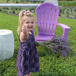 Homestead Lavender