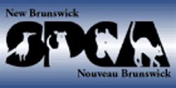NB SPCA