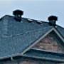 Improper roof venting
- Maxi vents and standard roof vents!?!?
- This roof will suffocate Improper roof venting
- Maxi vents and standard roof vents!?!?
- This roof will suffocate