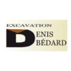 Excavation Denis Bédard