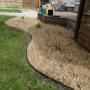 Hydrangea Plantings with woodchip installation Hydrangea Plantings with woodchip installation