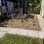 After photo of Complete Garden Overhaul with woodchips and Plantings (After) After photo of Complete Garden Overhaul with woodchips and Plantings (After)