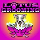 Lotus Grooming