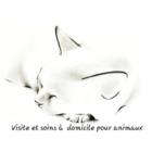 Visite et soins à domicile pour animaux - Murielle Lamarre
