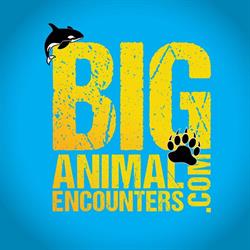 Big Animal Encounters